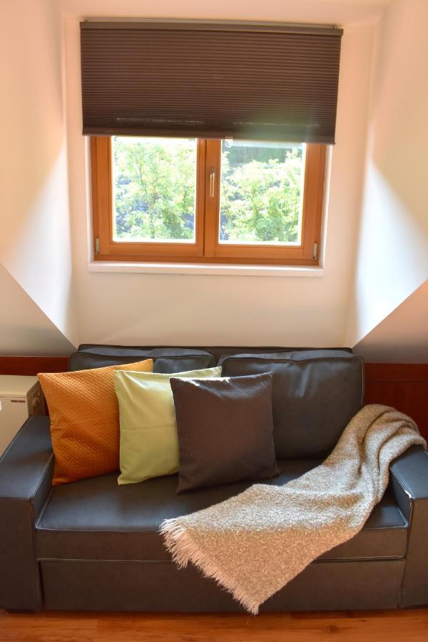 פראג New Central Rooftop With Private Wellness, Sauna & Whirlpool Bath מראה חיצוני תמונה